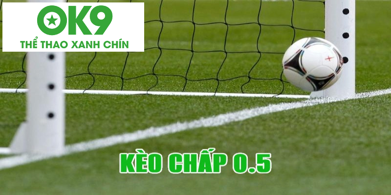 Tỷ lệ tài xỉu sẽ giúp bet thủ biết được khả năng ghi bàn của đội cửa dưới