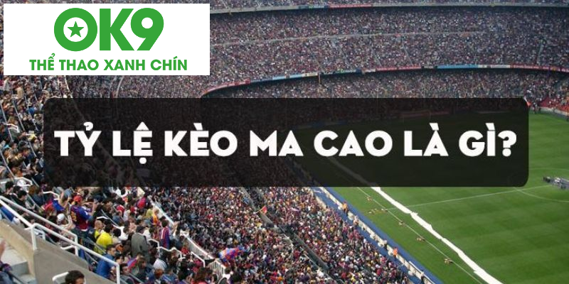 Một vài nét sơ bộ giới thiệu về tỷ lệ kèo macao bạn cần biết